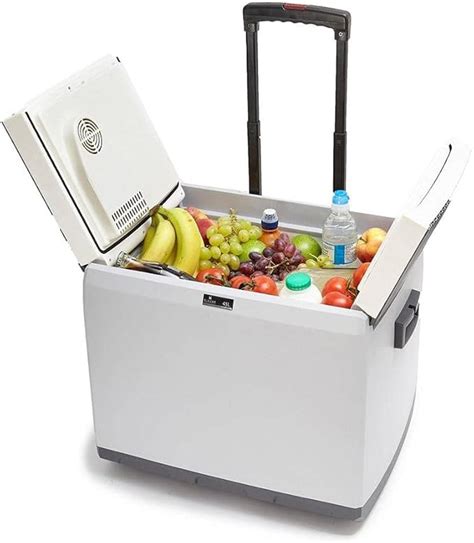 electric.cooler box|portable electric cooler box.